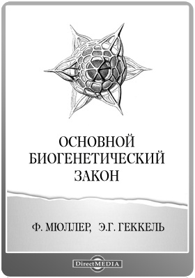 Кракен маркетплейс ассортимент