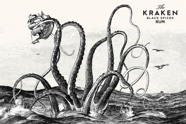 Kraken biz