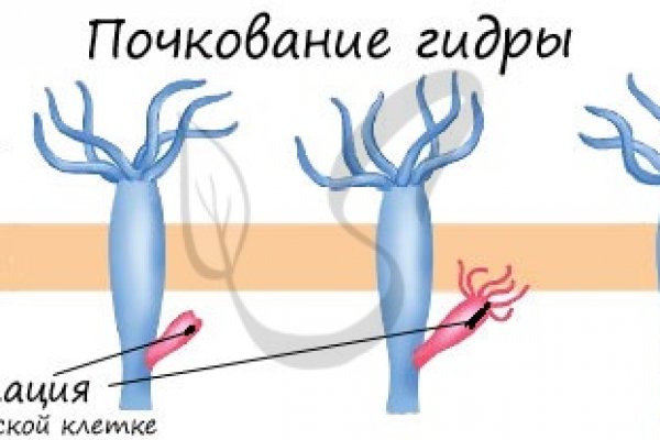 Адреса даркнет кракен