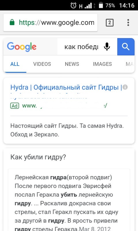 Kraken web com