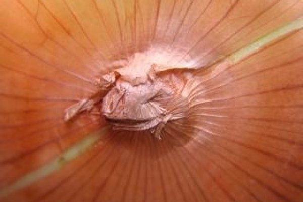 Зеркальная ссылка крамп kraken ssylka onion