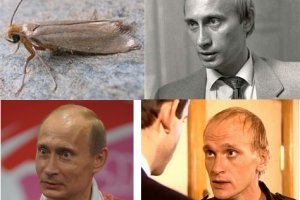 Как найти адрес крамп